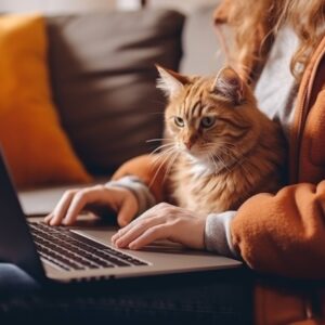 Online Szövegírás Tanfolyam